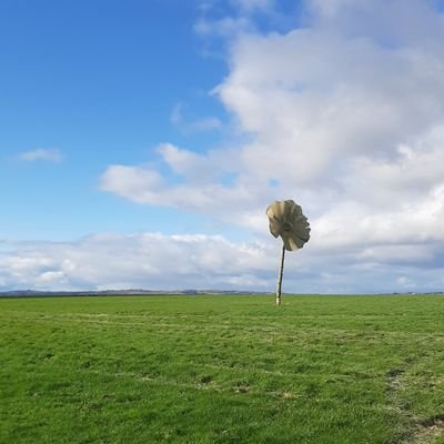 JamesGo75497595's profile picture. loves watching the world go by.