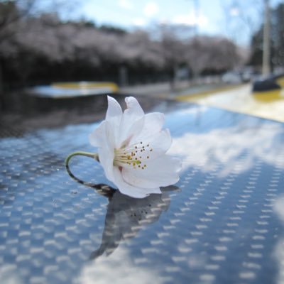 TAKE96602573's profile picture. 多趣味です。車も釣りも写真も好き。楽しいって思える時が1番伸びるタイミング❗️共感出来たら気軽にいいねしてやって下さい。