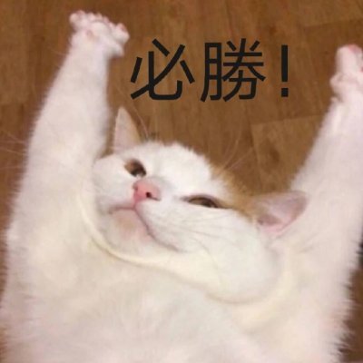 ruihongofficial's profile picture. “如果来生有劳作，那你须替我受其劳。一旦我有所召唤，你须即刻回应。在此劳作之时需谨言慎行。耕我之田，将水和沙运往东西四方。一旦我有所召唤，你须即刻回应。”