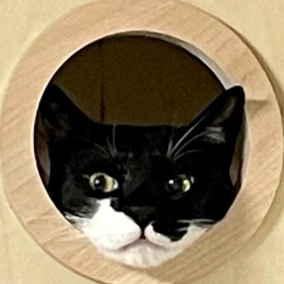 송미さんのプロフィール画像
