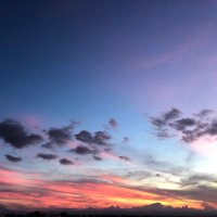 ゆ か (@swim_nt) 's Twitter Profile