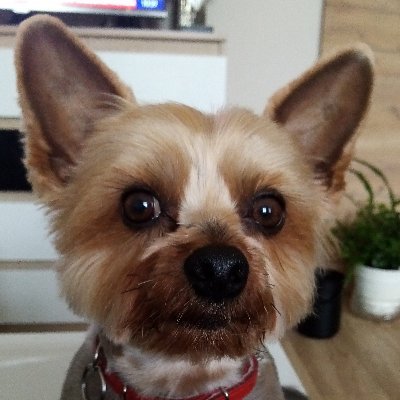 Marek92951293's profile picture. Jeżeli Bóg jest na pierwszym miejscu, to wszystko jest na swoim miejscu.