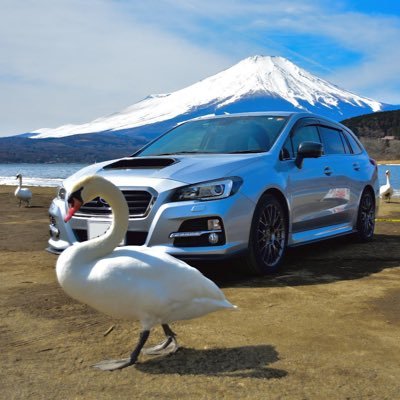 LEVORG1.6GTSオーナー/峠ステッカー,ダムカード,御朱印巡り,撮鉄しつつドライブします/乗り物何でも好きです/F123レースゲーム極めてます/浦和サポ,巨人ファン,モタスポ観戦(F1,SGT他)試合･レースあると少し煩いかも…/ジャパン峠プロジェクト 73/84制覇/ゲーム垢@Blanchimont_t17