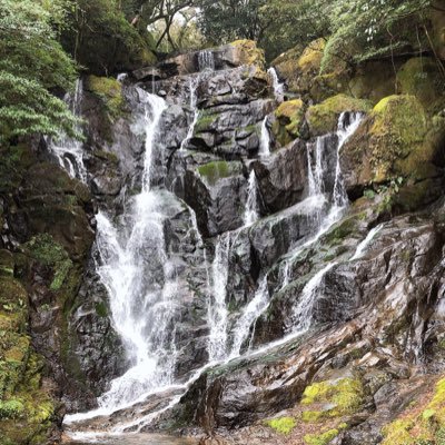 yakyulove_08's profile picture. 