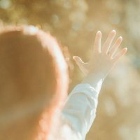 Sheridan💙💛 (@sheridan_vika) 's Twitter Profile