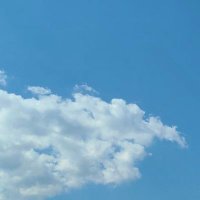 ばび (@babi_jstb) 's Twitter Profile