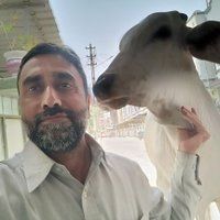 Vimal Hingu (@vkhingu) 's Twitter Profile