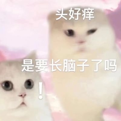 nil_err_'s profile picture. Linux user，golang Developer