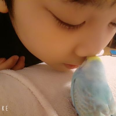 セキセイインコのホロちゃんです♡
1歳記念にインコちゃんTwitter始めました🐦
#セキセイインコ　#インコ　
#とりさん好きと繋がりたい(•͈⌔•͈⑅)
※無言フォロー失礼します🙏
pastime
****Switch**ps4**