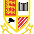 Tullow RFC (@tullowrfc) 's Twitter Profile Photo Tullow RFC (@tullowrfc) 's Twitter Profile Photo