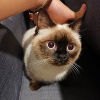 呂亞諭 (@bob861102) 's Twitter Profile Photo