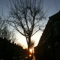 Richard Mansell (@repugned) 's Twitter Profile