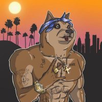 CryptoBen(@AmineCh285) 's Twitter Profile Photo