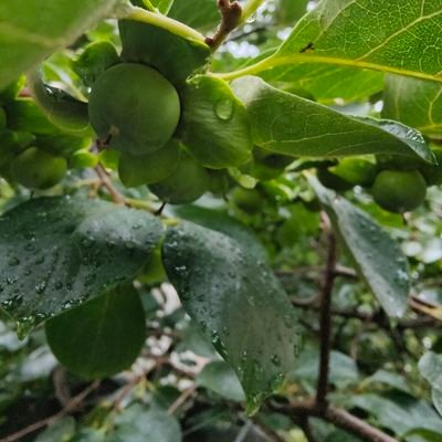 demifeifei's profile picture. finance. technology. lifescience. education. future.econ.