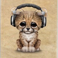 H (@hsmtips) 's Twitter Profile