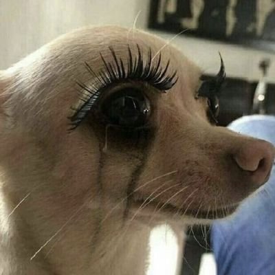 aqui é só para o conversar sozinha ficar mais interativo
~Carpe noctem