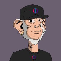 Fibonacci (@fibonaccidex) 's Twitter Profile
