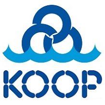 Koop is a contractor and consultant, specialized in tailor-made solutions for various kinds of dewatering systems.