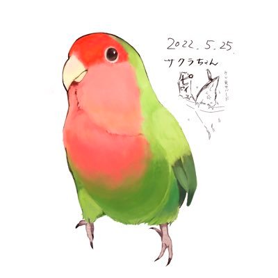 酸素◆skebさんのプロフィール画像