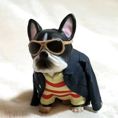 yanksjp's profile picture. 