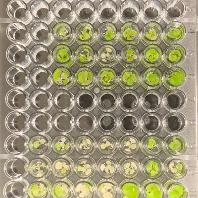 九州工業大学/生物機能分子工学研究室(池野研究室)の公式ツイッターアカウントです。研究室の活動を呟きます。