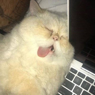 godhelp00's profile picture. 