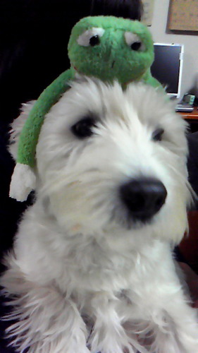 ayanoooo_'s profile picture. 川下 / 華陵 / 川福リハＯＴ18th Goffghy