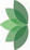 Treestyle Arboriculture. Tree Surgeon and Arborist. Insured and qualified tree surgeons and tree surveyors in Manchester. Tree advice for 19 years