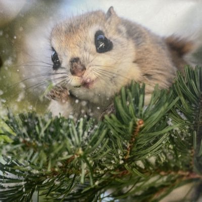 自炊モチベのためのアカウントです
使わなくなる可能性大🥲