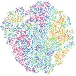 Neuroscience team working on the complexity of brain oscillations and multiscale dynamics; @unistra; @CNRS; Romain Goutagny & Demian Battaglia