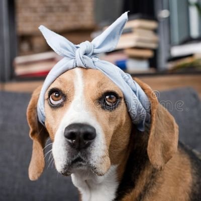 69cacatua69's profile picture. “Carpe diem quam minimum credula postero memento mori”