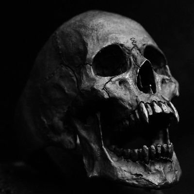 infundeamorem's profile picture. 