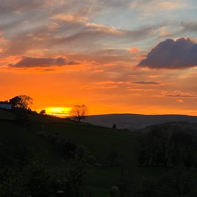 Alienated_to_3's profile picture. Loving Dad to 3. Alienated. Fighting for custody. Falsely accused. Survivor. UK