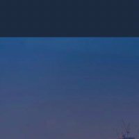 Manar Alohaly | منار العوهلي (@manarfo) 's Twitter Profile