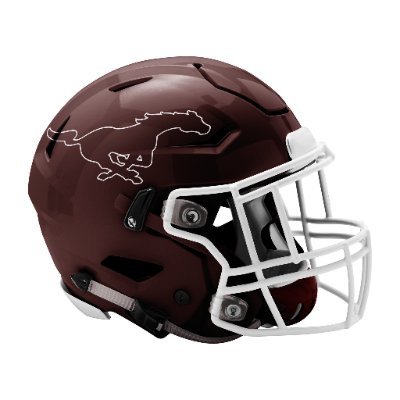 PHSMustangFB Profile Picture