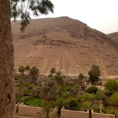 AZOUAOUHOCINE48's profile picture. One life,one chance.