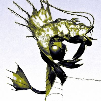 GeraniumTide's profile picture. Welsh, angry, tired.