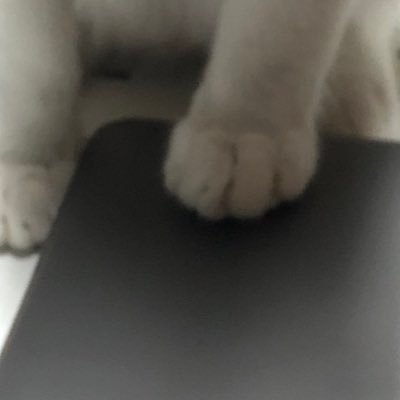 xxzdddlillg's profile picture. 