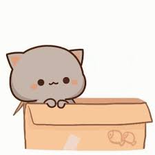 gimjeon43910982's profile picture. 