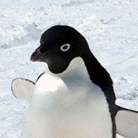 あでりん。 (@animallabo_phil) 's Twitter Profile
