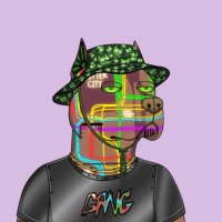 Mustangram 🐺 (@nate_gordon05) 's Twitter Profile