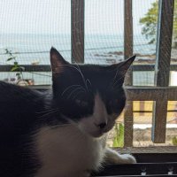 Matthias Raynal (@matthiasraynal) 's Twitter Profile