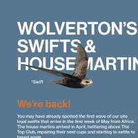Save WolvertonsSwifts&Martins(@wolvertonswifts) 's Twitter Profile Photo