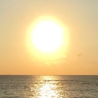 りん子 (@sukuitaikimochi) 's Twitter Profile Photo