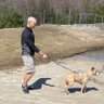 adam_kurland's profile picture. Jack of some trades, master of none, at Moody's. Combat vet.
 Eats  mostly plants. The world is absurd and wonderful.