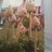Madfish1976's profile image