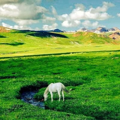 #let_promote_Sustainable_Eco_Tourism #ClimateChange #ClimateCrisis
#Tourist #GilgitBaltistan #Tourism #Heaven_on_Earth #Breathtaking #Beauty #NatureLover