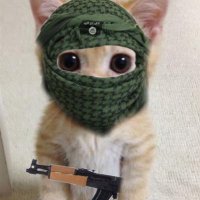 abdulmalik’s 🅿️riv (@mrsimpsalot) 's Twitter Profile