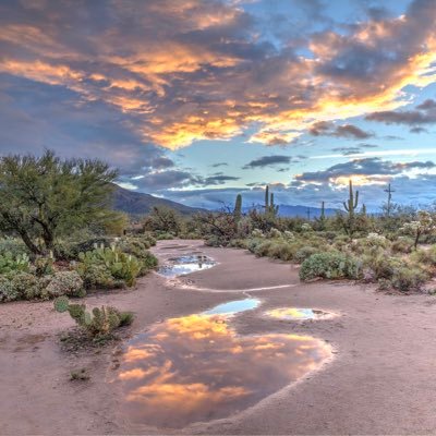 ValleyGuy20's profile picture. This is the Twitter account for Valley Guy.