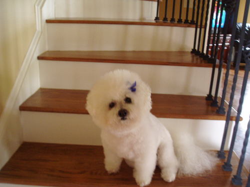 NedTendo1's profile picture. UM student trying to make it through.